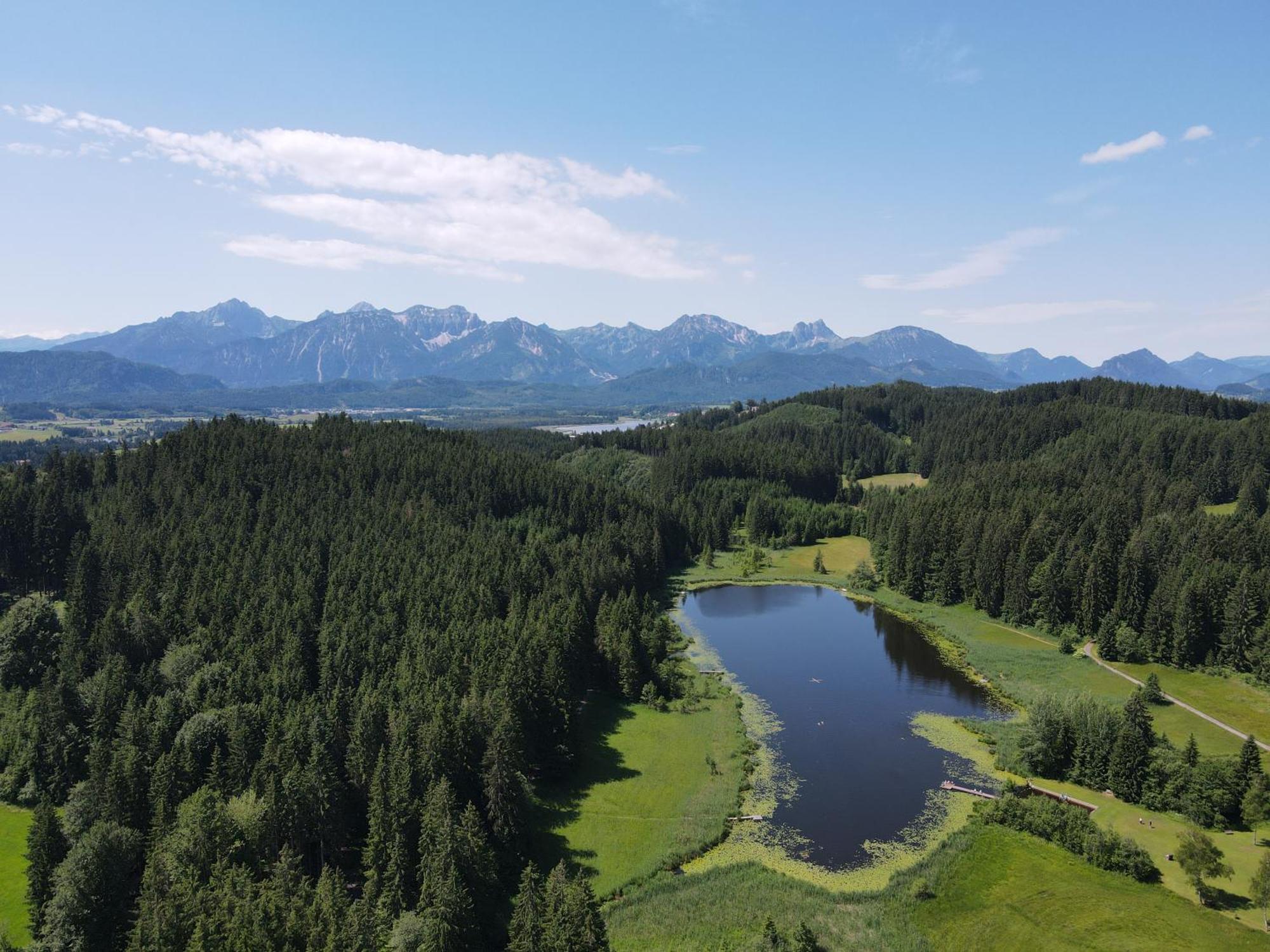 Chalet - Ferienwohnungen - Biohof Stoeger - Panoramasuedbalkon - Grandiose Aussicht Auf See, Berge Und Schloss Neuschwanstein Rieden Exteriör bild