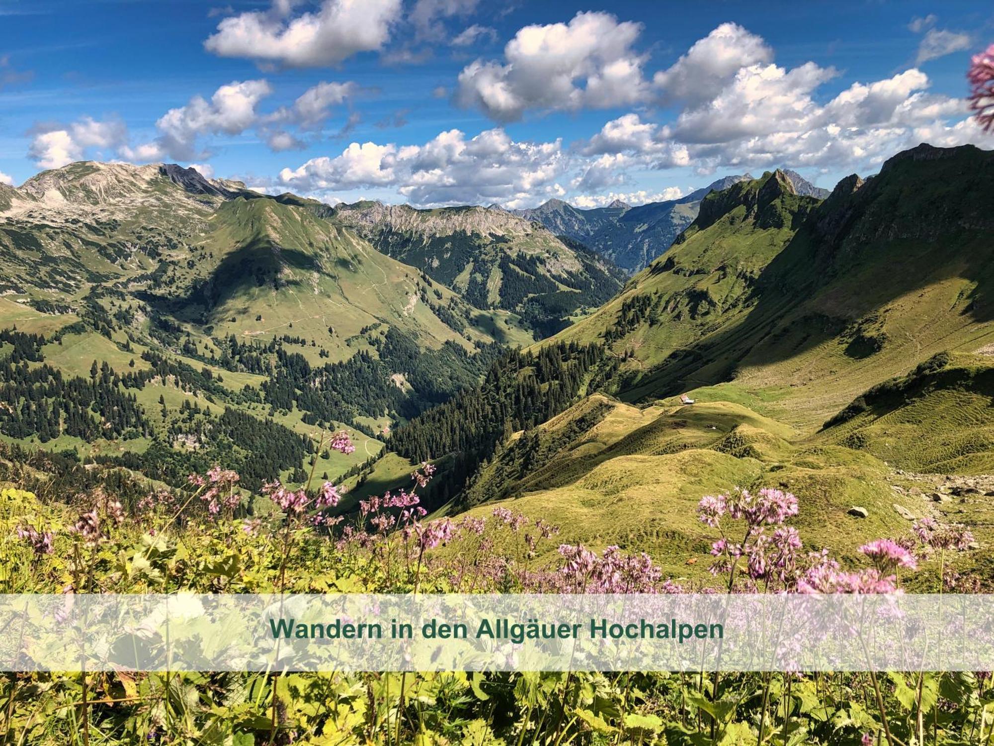 Chalet - Ferienwohnungen - Biohof Stoeger - Panoramasuedbalkon - Grandiose Aussicht Auf See, Berge Und Schloss Neuschwanstein Rieden Exteriör bild