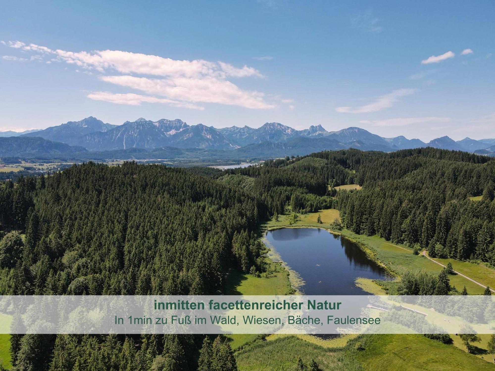 Chalet - Ferienwohnungen - Biohof Stoeger - Panoramasuedbalkon - Grandiose Aussicht Auf See, Berge Und Schloss Neuschwanstein Rieden Exteriör bild