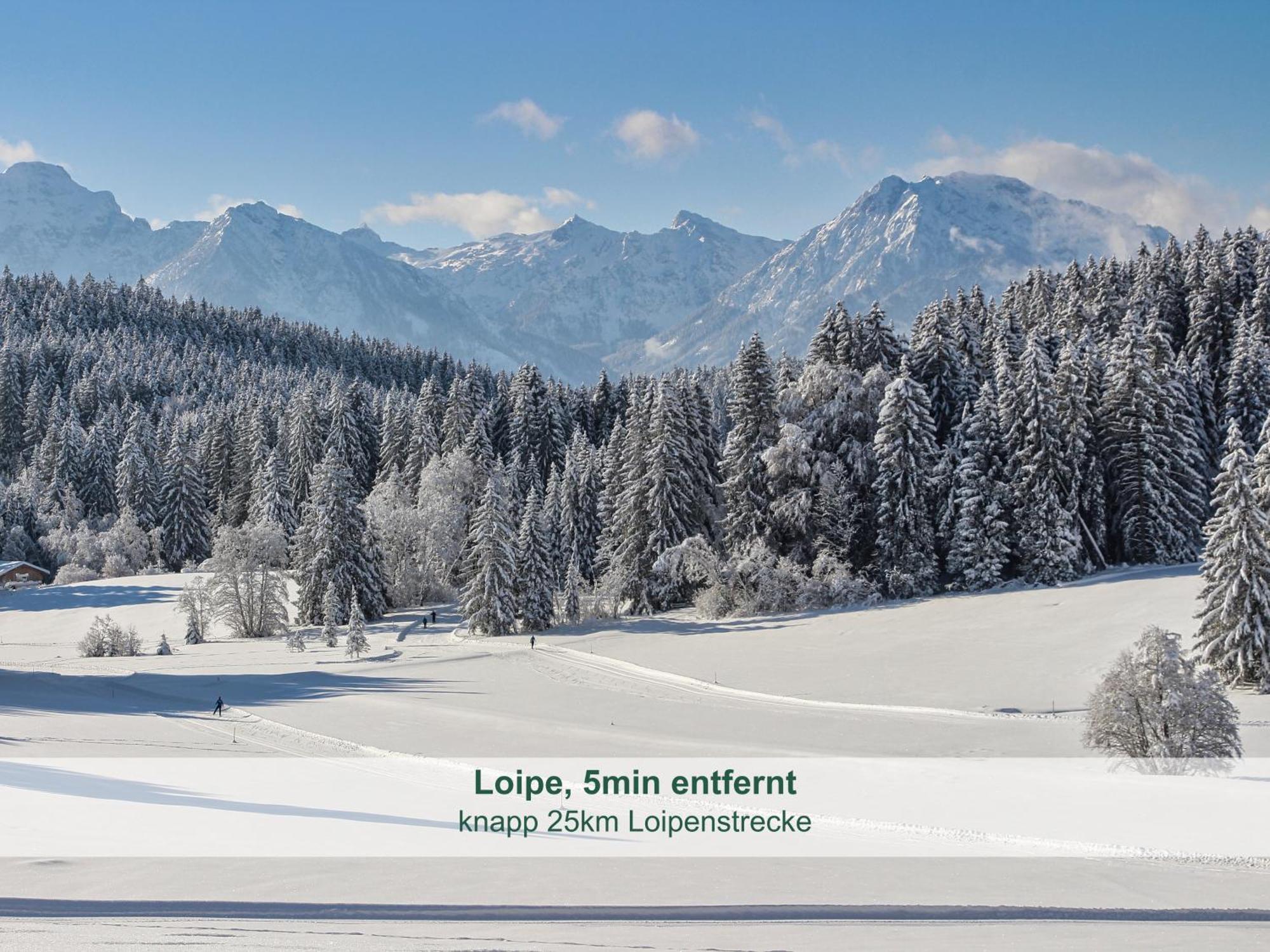 Chalet - Ferienwohnungen - Biohof Stoeger - Panoramasuedbalkon - Grandiose Aussicht Auf See, Berge Und Schloss Neuschwanstein Rieden Exteriör bild