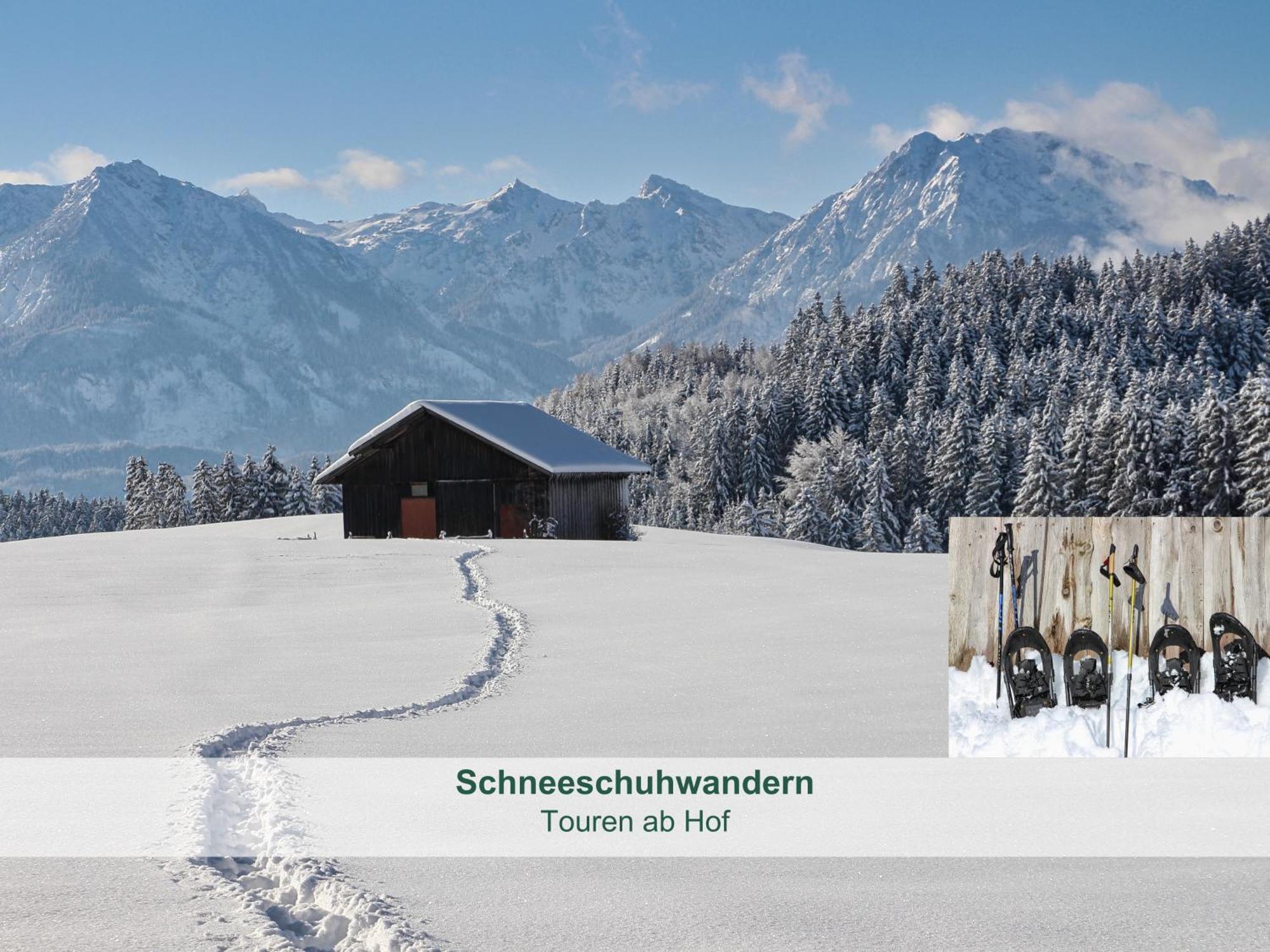 Chalet - Ferienwohnungen - Biohof Stoeger - Panoramasuedbalkon - Grandiose Aussicht Auf See, Berge Und Schloss Neuschwanstein Rieden Exteriör bild