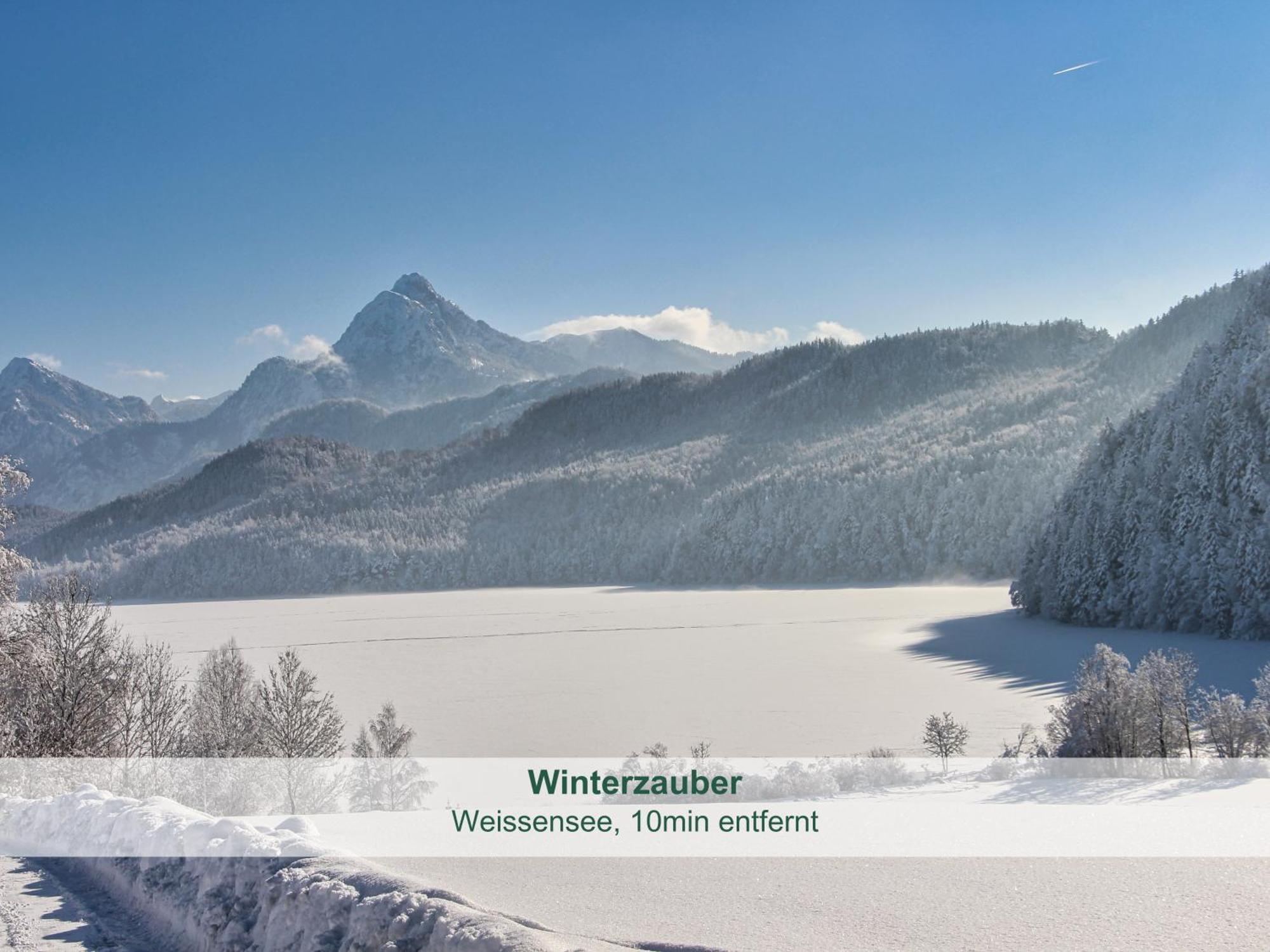 Chalet - Ferienwohnungen - Biohof Stoeger - Panoramasuedbalkon - Grandiose Aussicht Auf See, Berge Und Schloss Neuschwanstein Rieden Exteriör bild