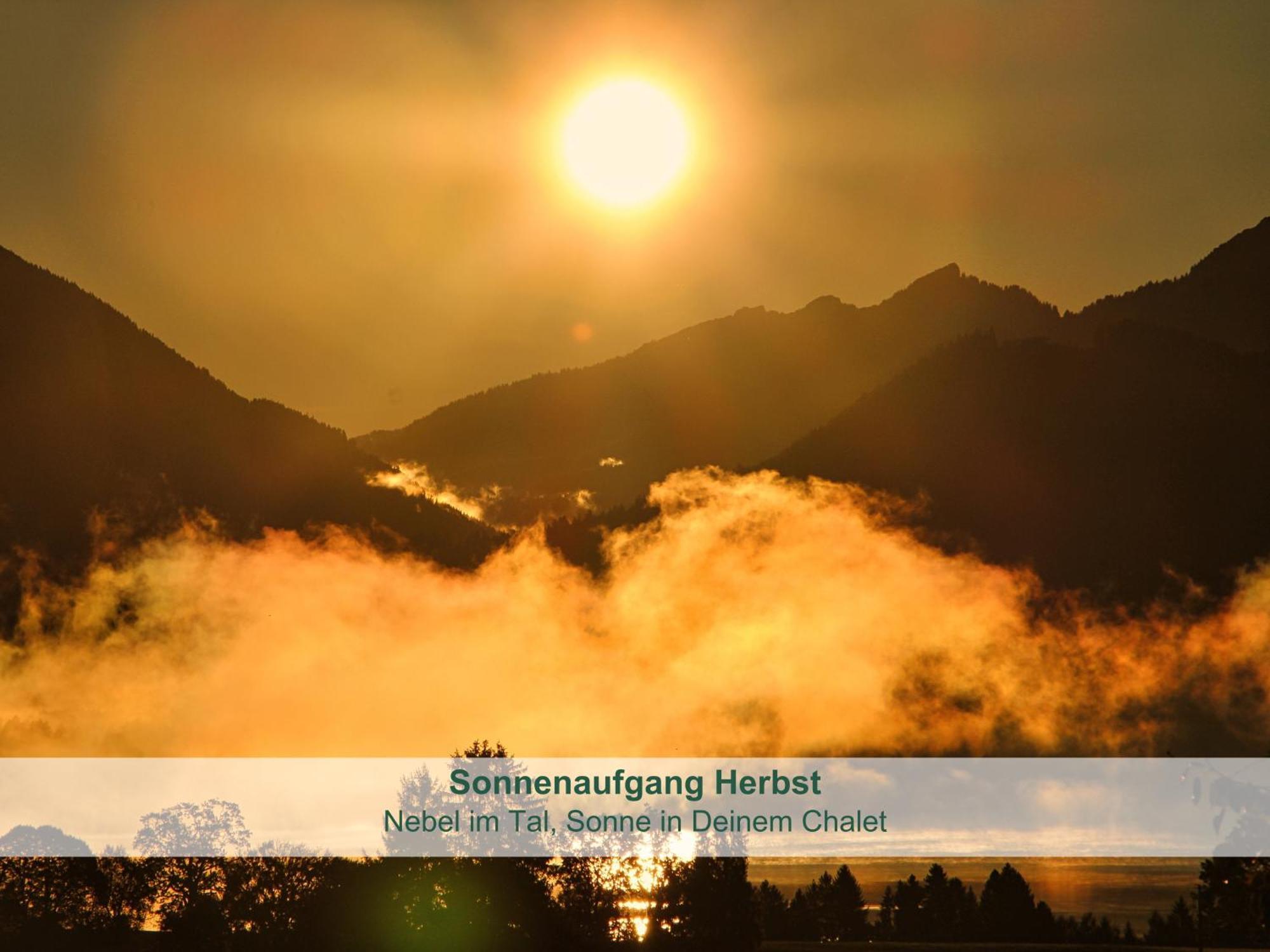 Chalet - Ferienwohnungen - Biohof Stoeger - Panoramasuedbalkon - Grandiose Aussicht Auf See, Berge Und Schloss Neuschwanstein Rieden Exteriör bild