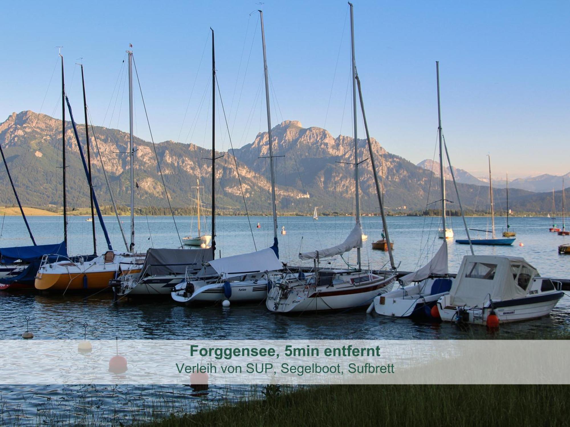 Chalet - Ferienwohnungen - Biohof Stoeger - Panoramasuedbalkon - Grandiose Aussicht Auf See, Berge Und Schloss Neuschwanstein Rieden Exteriör bild